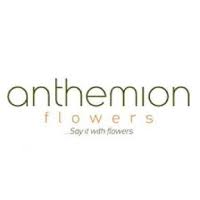 Anthemion Flowers 